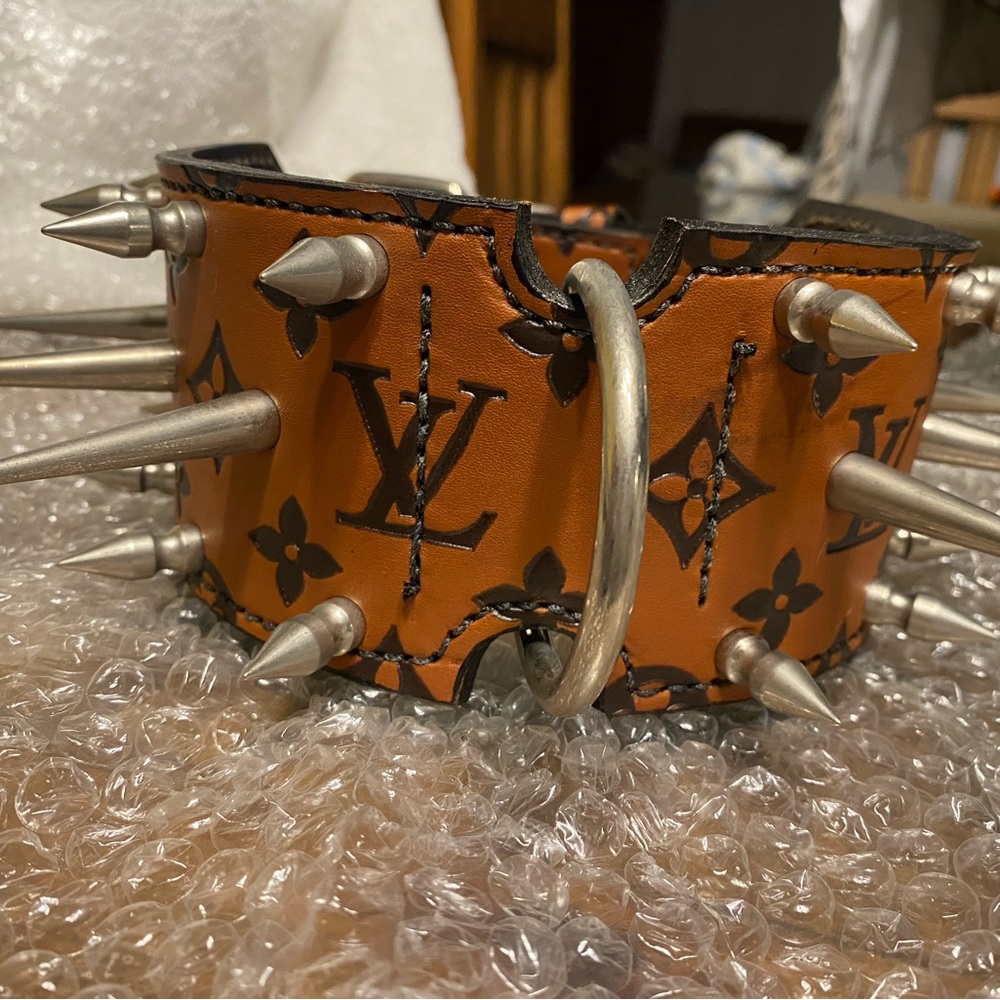 Leather Spiked Dog Collar with Leash